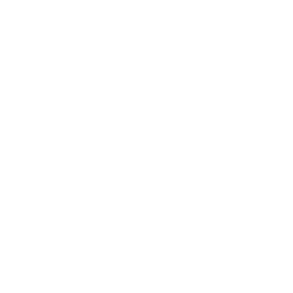 LongView Group Logo