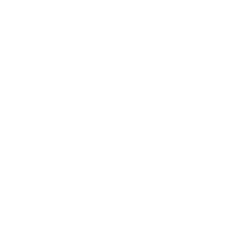 LongView Group Logo